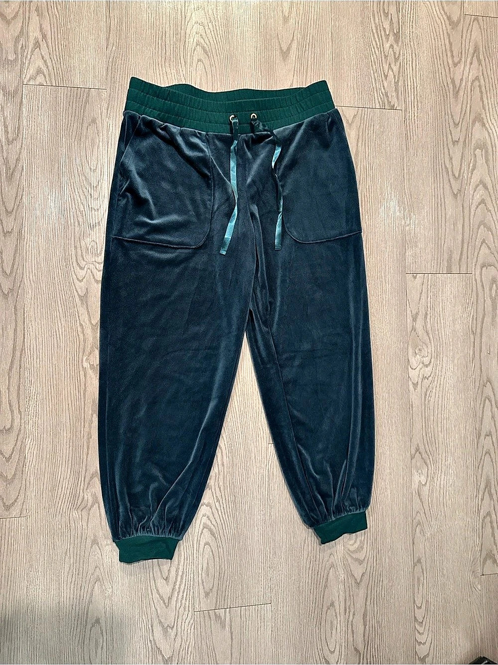 AnyBody Velvet Jogger Pants in Green Like New